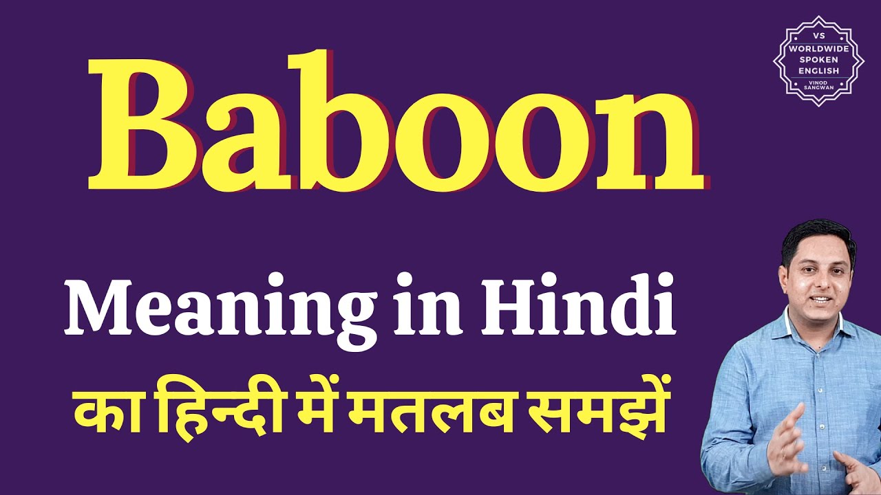 Baboon Meaning In Hindi Baboon Ka Matlab Kya Hota Hai YouTube