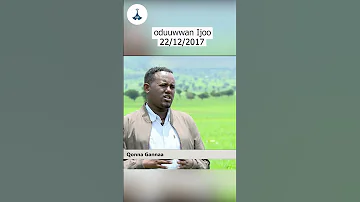 Oduuwwan Ijoo 22 12 2017 Etv Ebc Etv Afaan Oromoo Oduu Etv Afaan Oromoo Ethiopia 