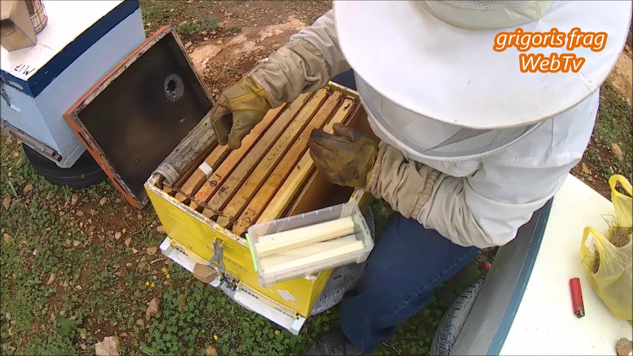 Πως βάζουμε τις ταινίες για τη θεραπεία βαρρόα ...