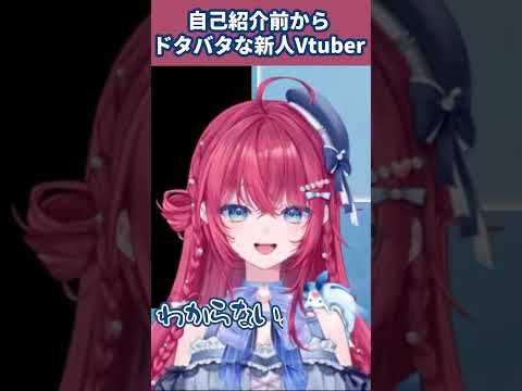 【デビュー2日目】大混乱ドタバタ自己紹介【新人Vtuber】 #汐鳴みりね #ななしいんく #切り抜き #vtuber