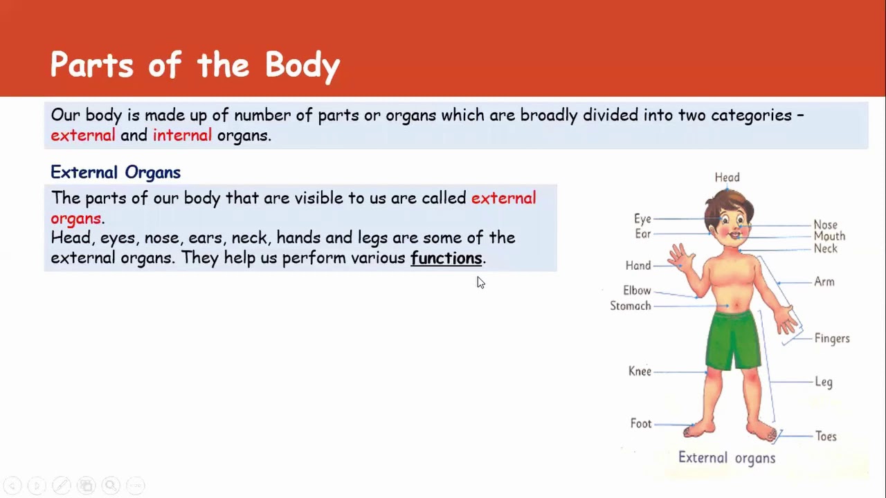 Me and My Body Part 3 YouTube