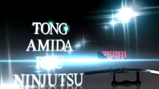 Tong Amida Ryu Ninjutsu Real Ninjutsu Training, Basic Shurikens Launch Techniques