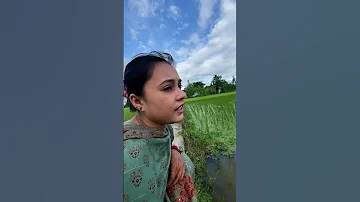 ত ম য ই ব গ ন র ফ ল Shortvideo Funny Trendingshorts 