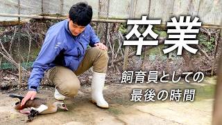 飼育員を卒業します。動物に最後の挨拶をしながら、2年間を振り返ります【池田くん編】