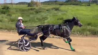 Nescau 2.10,85 (desclassificado)x 60tinha 2.22