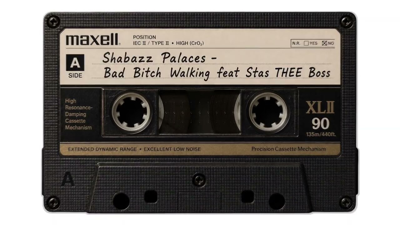 Shabazz Palaces ‎– Bad Bitch Walking feat. Stas THEE Boss. (Audio Cassette Factory).
