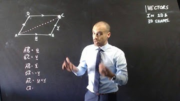 Vectors in 2D and 3D Shapes