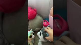 Girls Dont Fart Right?