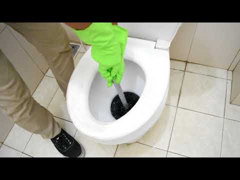 PROFESSIONAL PLUNGER