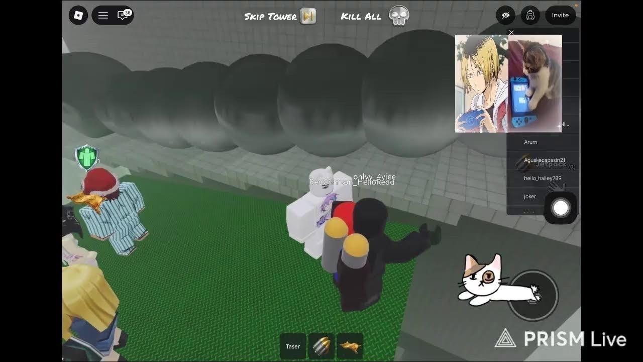 Live streaming of meowui