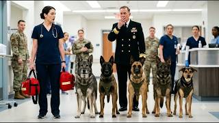 Information Who Saved the Military K9s They Mocked the Nurse—Then All 5 Dogs Stood for Her Guide