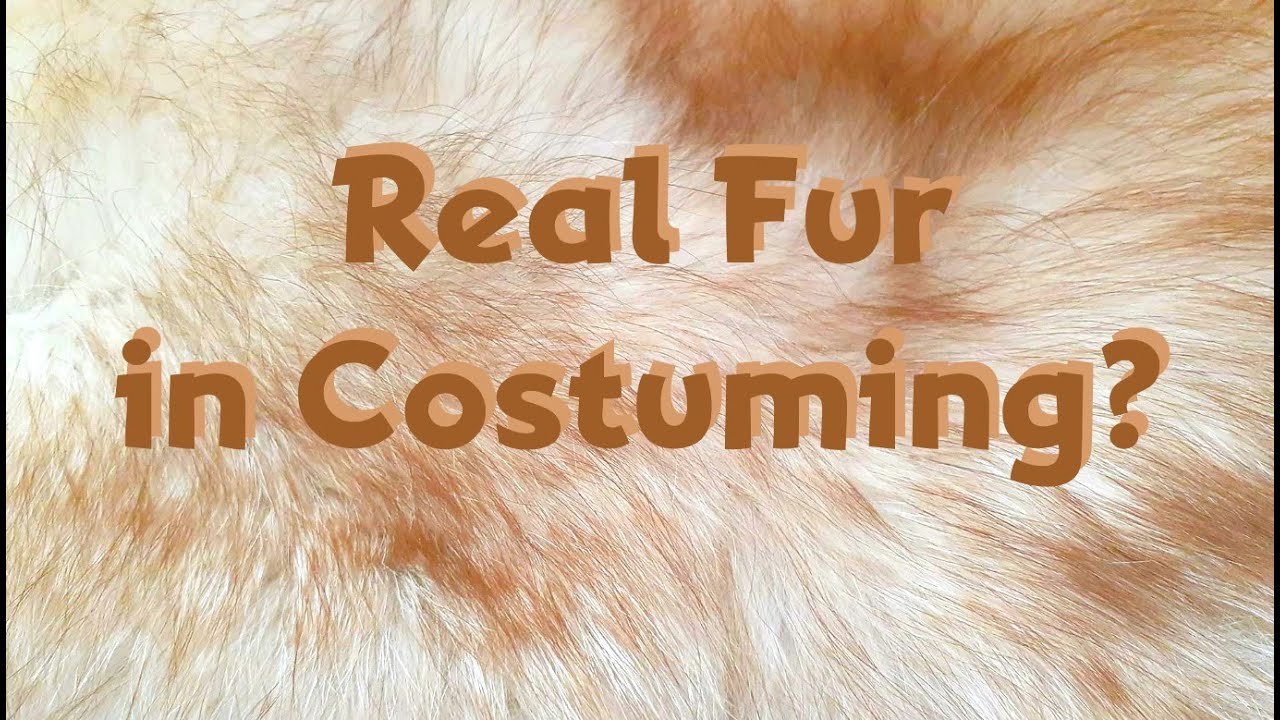 Let's Discuss if Real Fur is Ethical in Costuming