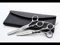 Caesar Hair Shears 2 pcs set with case hairdresser haircut scissors From Japan  61317