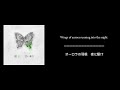 蝶王 - 甘い暴力(歌詞) / Chou - Amai Bouryoku (English sub)