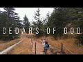 Cedars of god lebanon shot by drone 1080p