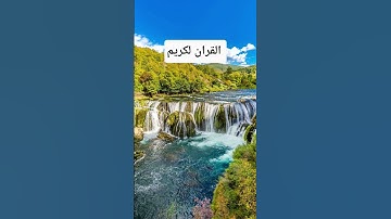 #egzonibrahimi #سورة_الإخلاص #viralvideo #love #ikhlas #trustonallah