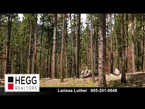 10714 Connemara Ave, Lead, SD home video tour