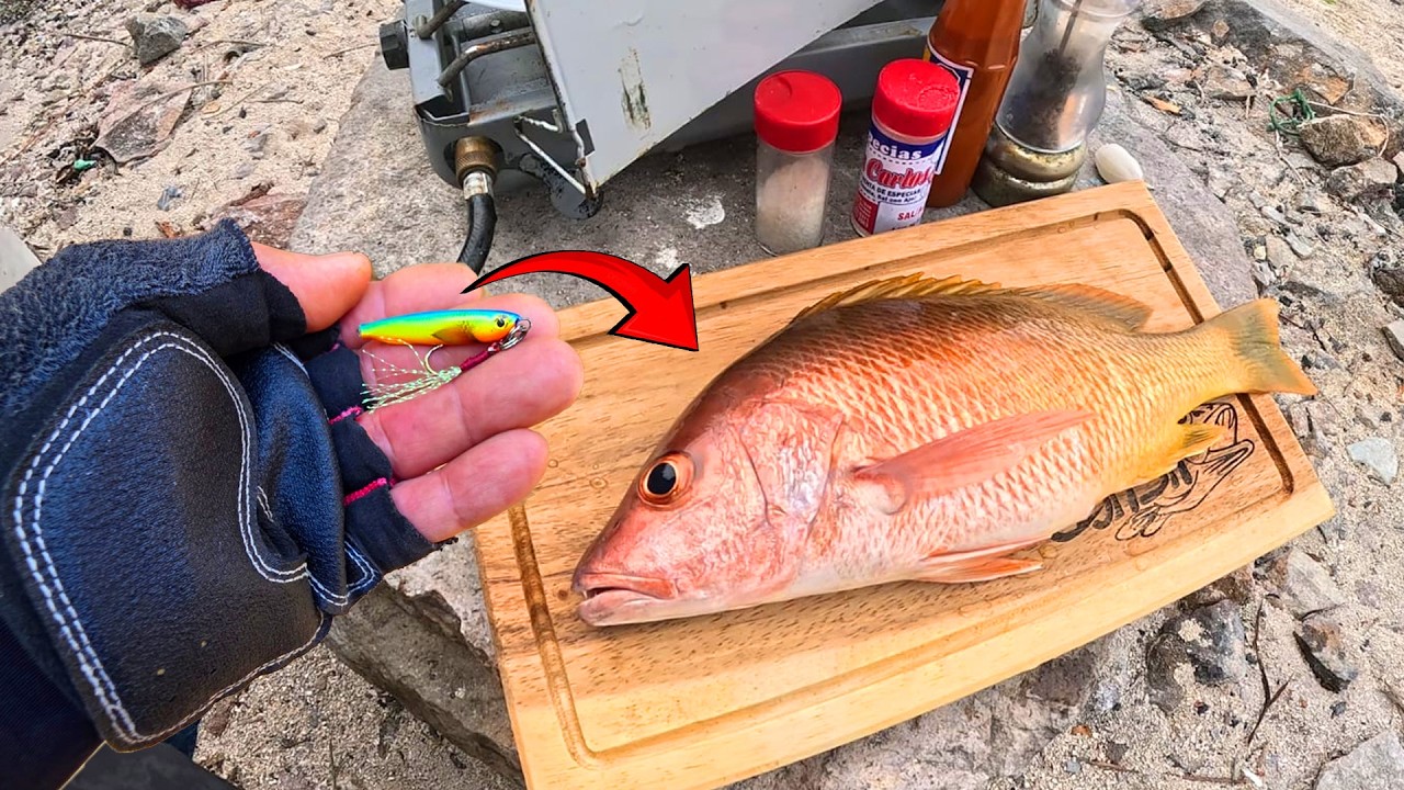 ESTE PEQUEÑO SEÑUELO ME DIO el DESAYUNO | Pesca y Prepara