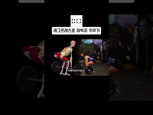 레그프레스로 허벅지 키우는 방법