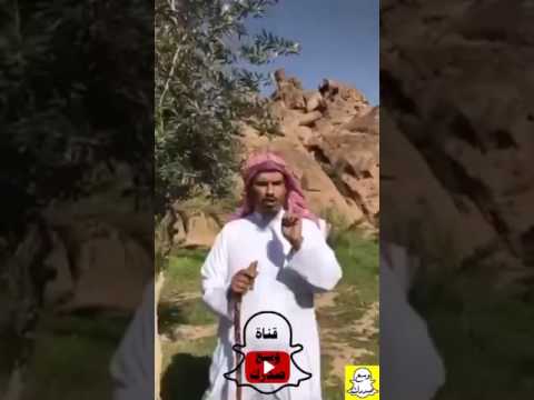 معنى وأهش بها على غنمي خلاف المعنى المستقر في الأذهان د محمد الخضيري