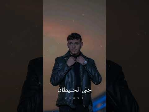 الشامي مش كده يا قلبي طب خدني حالات واتس اب