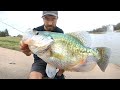 I’ve BEEN CHASING THIS CRAPPIE FOR YEARS!! (INSANE)