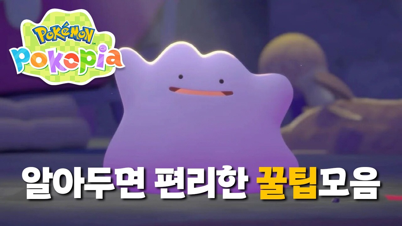 알아두면 편리한 포코피아 꿀팁모음