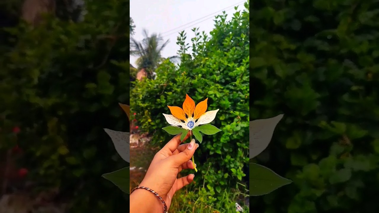 Indian flag on different leaf