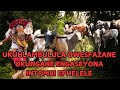 UKUHLAMBULULA OWESIFAZANE ONGANE ENGEYONA INTOMBI