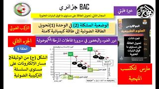 الحلقة 5 من الوضعية 2 تفاعلات المرحلة الكيموضوئية