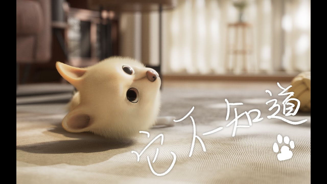 The pet song | Things she doesn't know 它不知道- 井小一Jing - YouTube