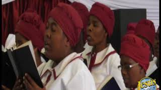 Ngiyisihambi Emhlabeni