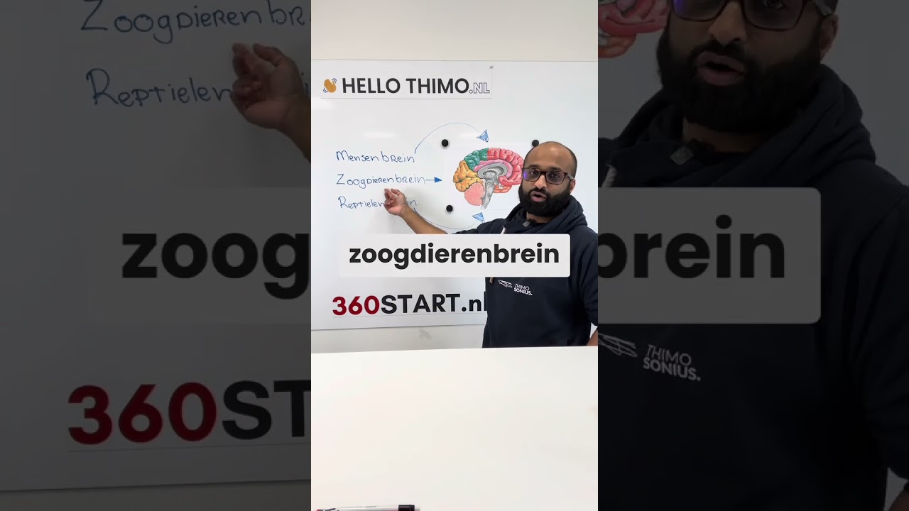 De kracht van idealiseren: hoe ons brein bedrijfssucces kan stimuleren. 🔥