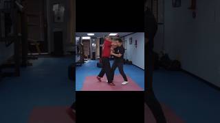 Wing Chun Close Quarter Fighting