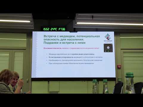 Presentation of the Bear Welfare Fund "World of Bears" on February 19, 2026, at the Moscow Region...