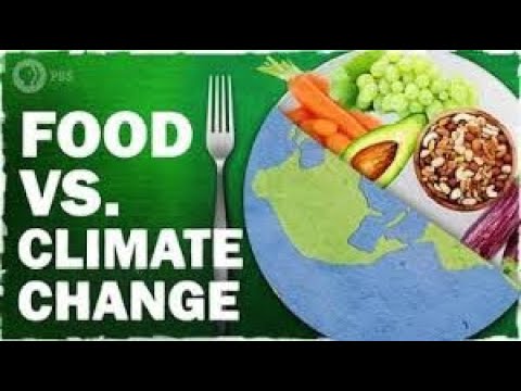 How Climate Change is Driving Up Food Prices Globally I Foysel Sojib ...