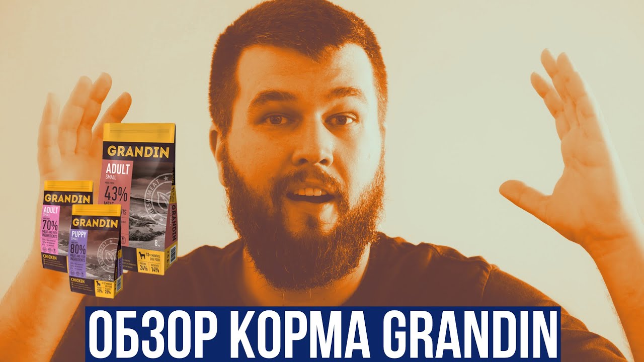 Обзор сухих кормов Grandin для собак