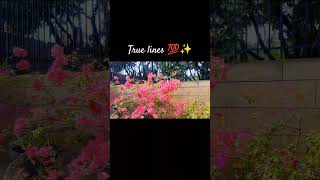 True lines💯✨🌸 #trueline #ytshorts #ournature #naturalflowers #nature #yt #lifelessons #bougainvillea
