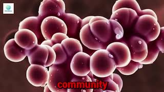 The City Inside You — How Bacteria Build Fortresses Your Immune System Cannot Break