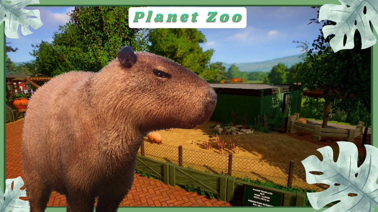 CAPYBARA SPEEDBUILD! - Foxborough Zoo - YouTube