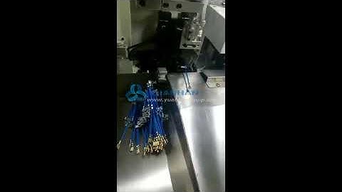 Fully Automatic Cable Cutting Stripping and double-end Crimping Machine, Wire 2-side Crimp Machine