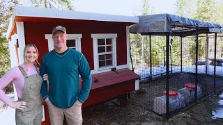 How to Setup your Chicken Coop! 7 Tips to Success!