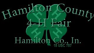 The Cat Show at 2017 Hamilton County 4-H Fair