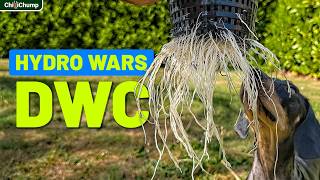 Can Dwc Outperform Ebb & Flood? (ep 2: Hydro Wars)