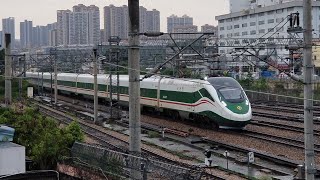 CR200J FXD1-J0263/0262 D147次(鄭州站-深圳東站)到達深圳東站
