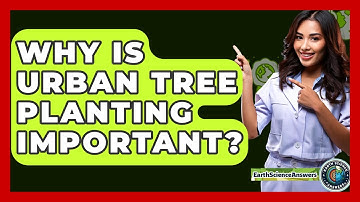 Why Is Urban Tree Planting Important? - Earth Science Answers