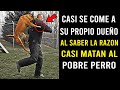 Perro Se Abalanzó Sobre Su Propio Dueño La Razón Impacto A Todos