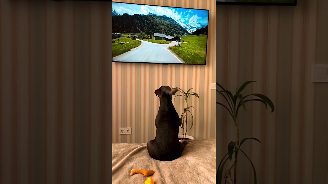 How Ukrainians travel in 2025 🧳🇺🇦 