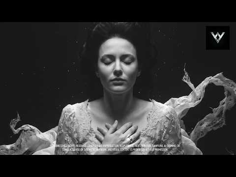 Voidwest - BLACK WATER (Original Mix) | Dark Melodic Techno x Swamp Blues
