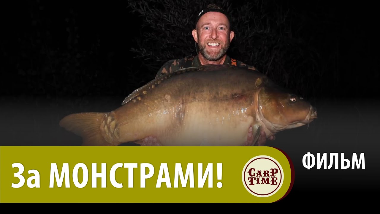 💥 СЕКРЕТЫ ловли САМЫХ БОЛЬШИХ 💥 карпов! Марк Питчерс МЧИТ за МОНСТРАМИ ...